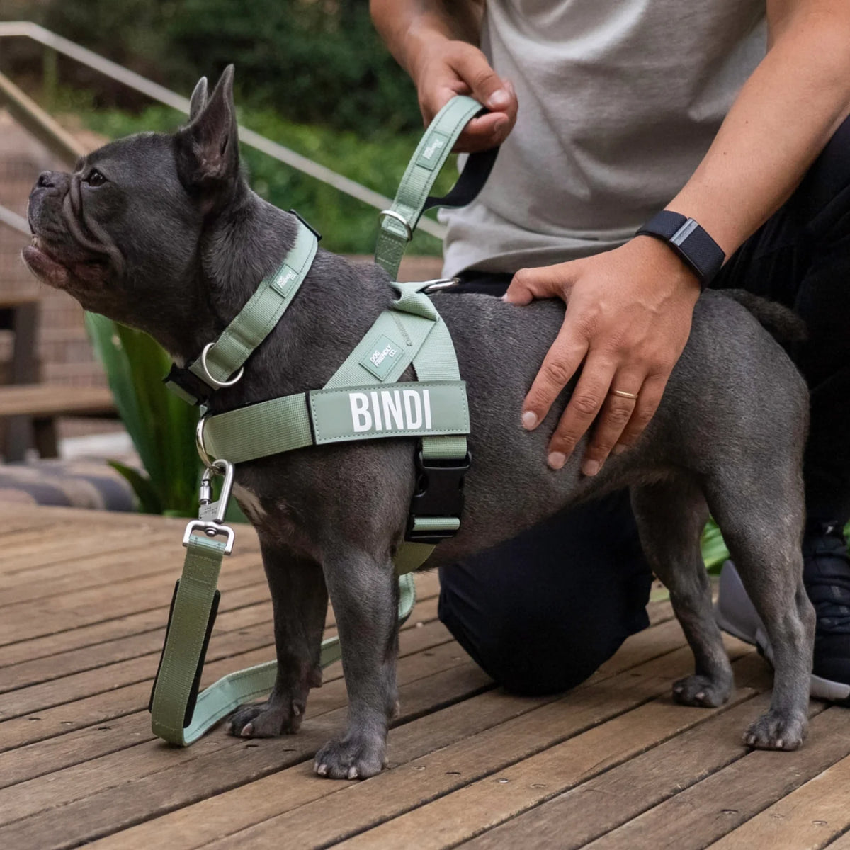 No-Pull D-Ring Harness Attachment